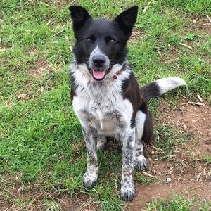 Meet your Posher, Erica